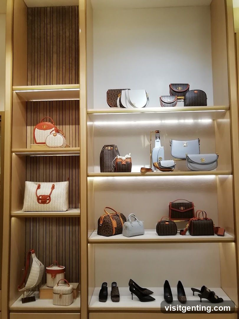 Handbag and Shoe Display
