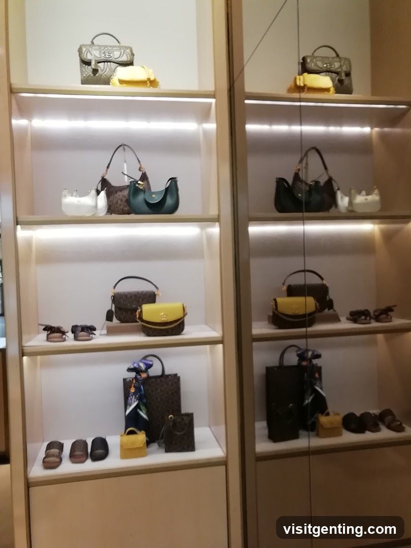 Interior Display of Luxury Handbags and Footwear