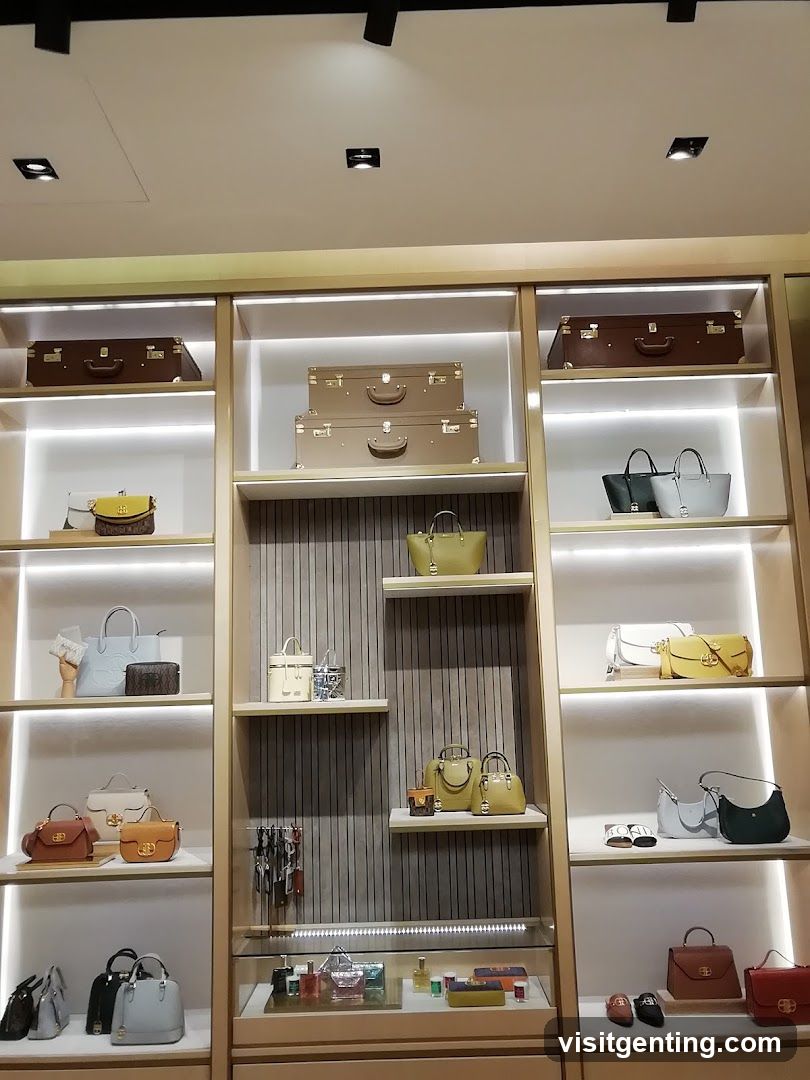 Interior Display of Luxury Handbags