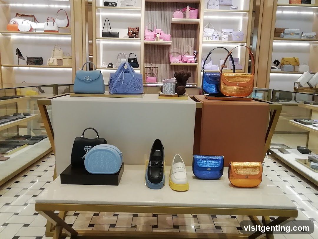 Interior Display of Luxury Handbags and Shoes