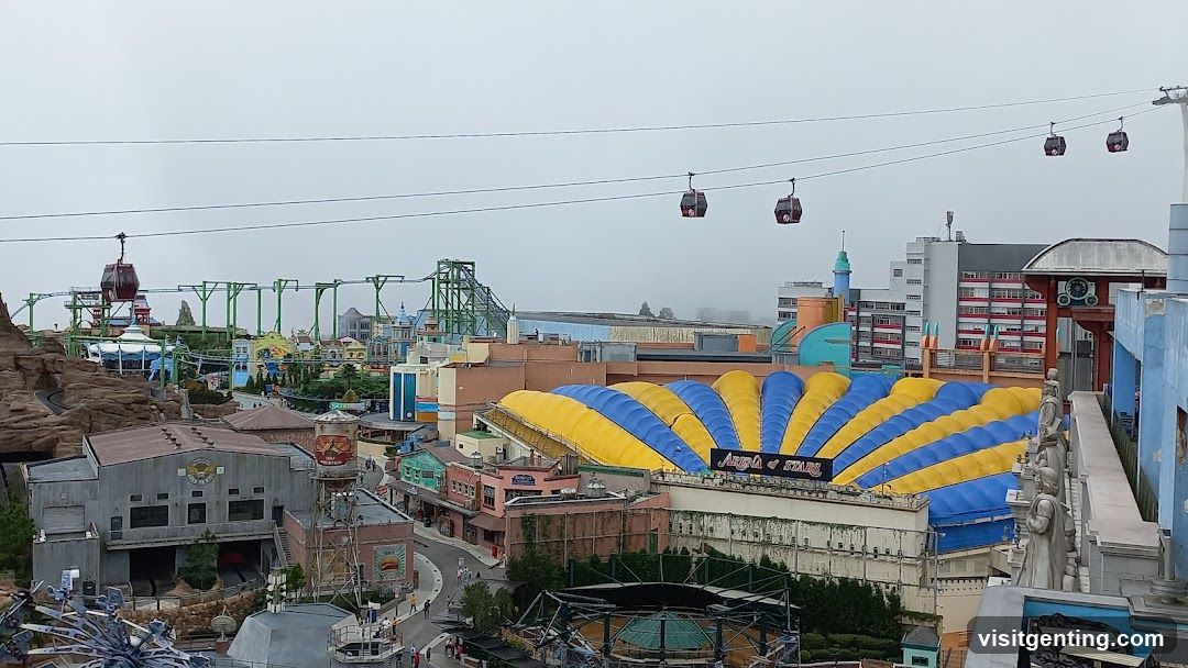 Amusement Park View