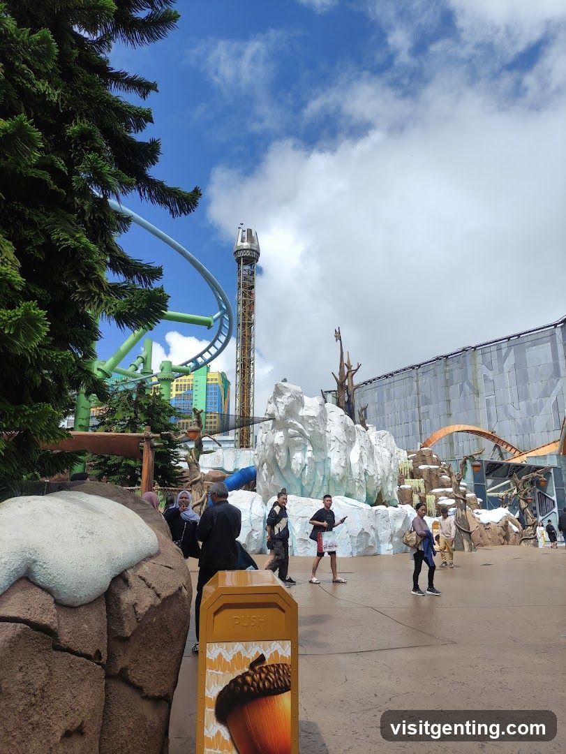 Amusement Park Area