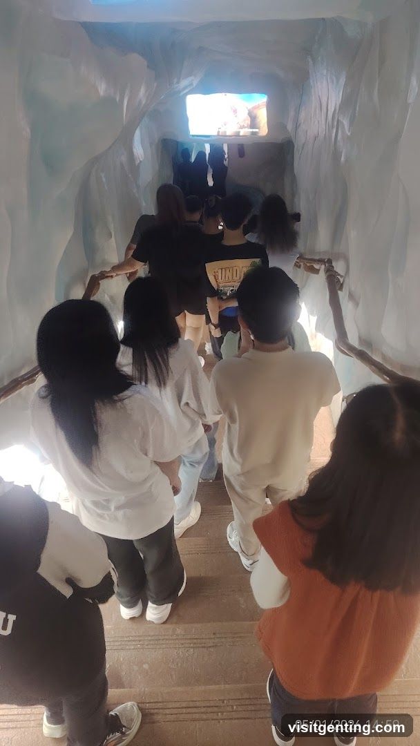 Group of people in an indoor tunnel-like space