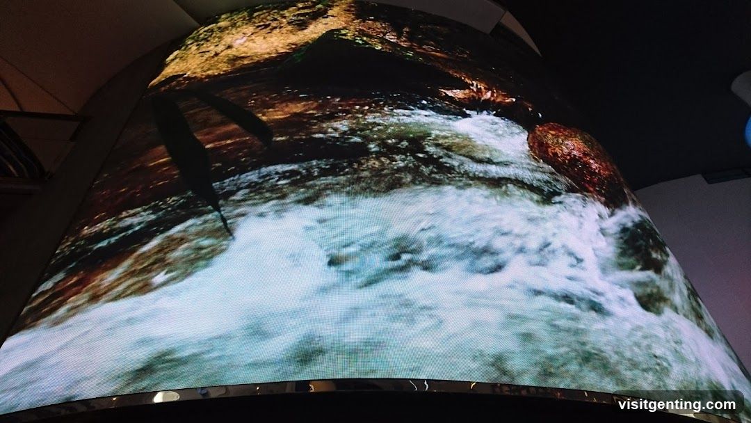 Large curved digital display