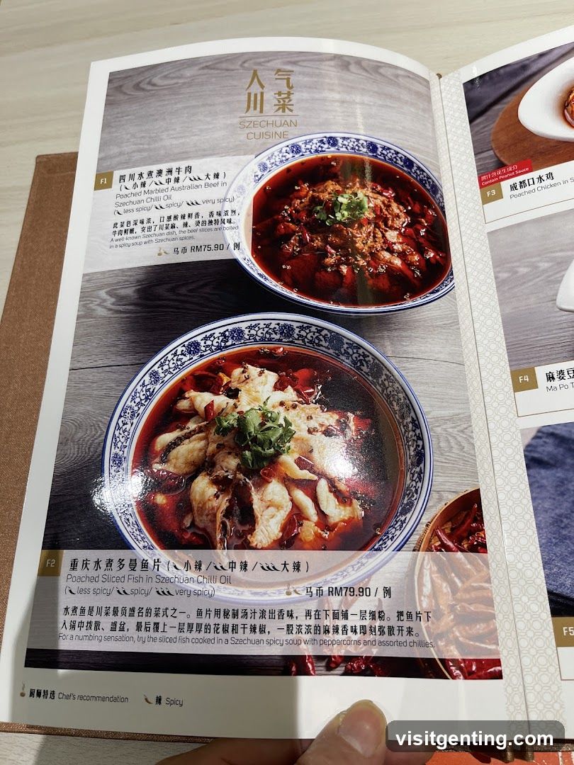 Szechuan Cuisine Menu Page