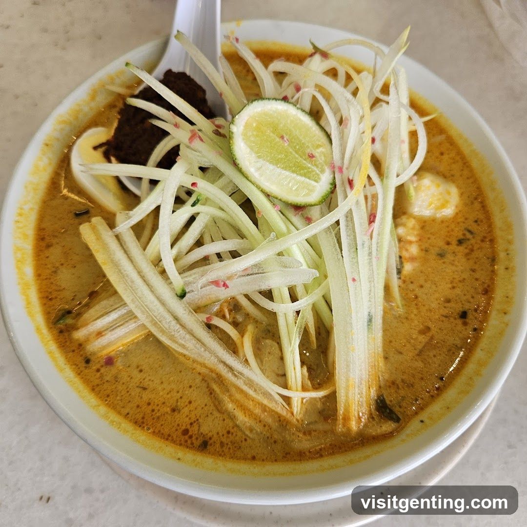 Laksa Noodles with Garnish