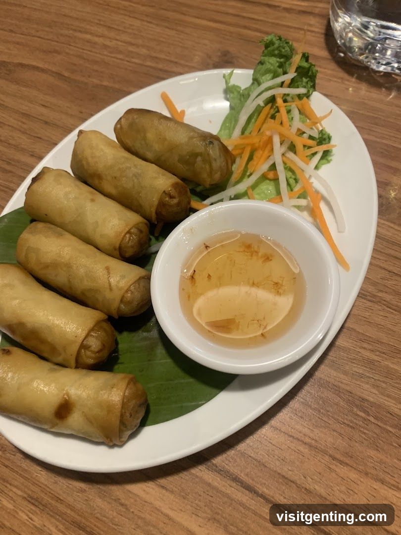 Spring Rolls with Dip and Garnish