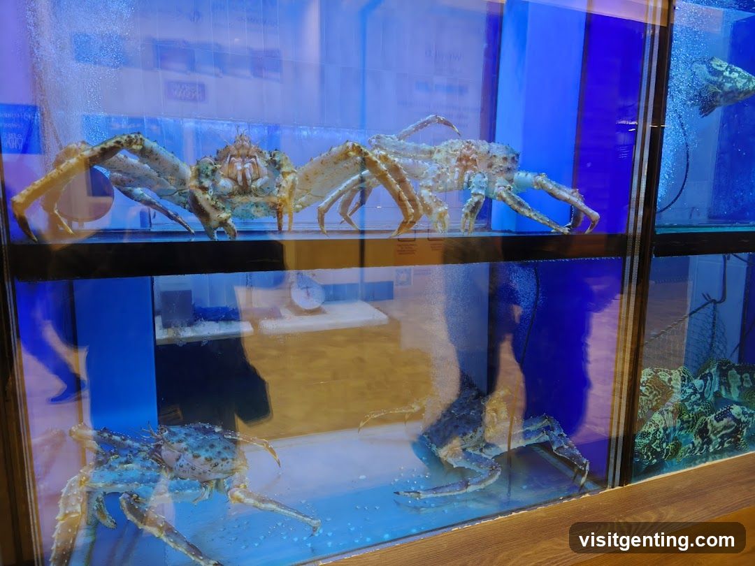 Seafood Display Tanks