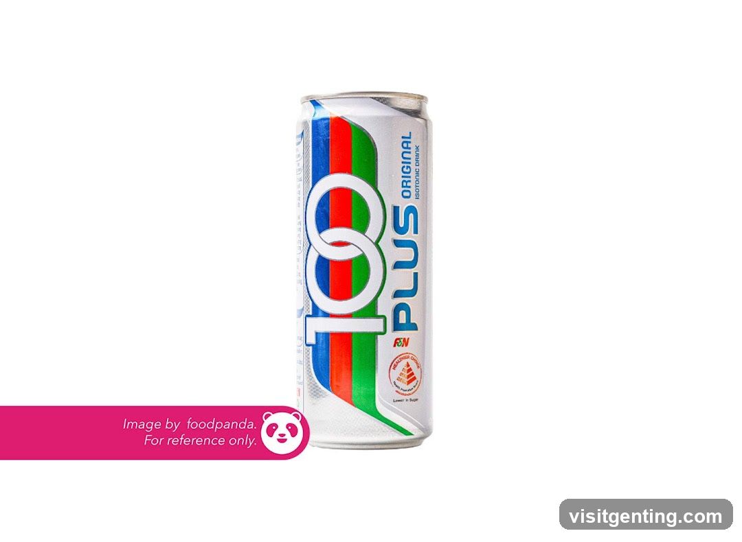 100 Plus Can