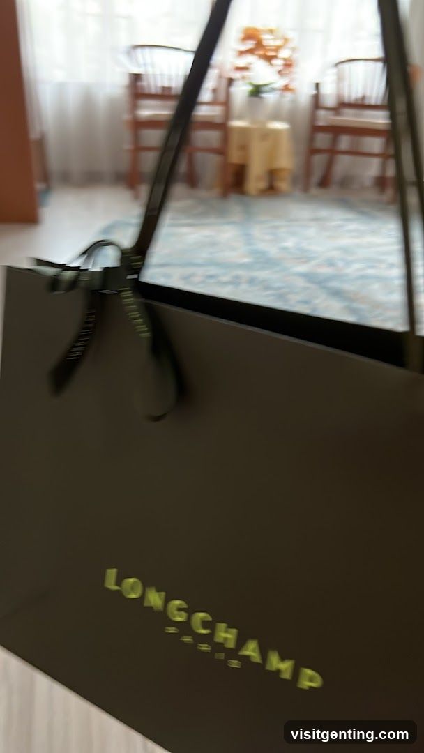 Longchamp shopping bag