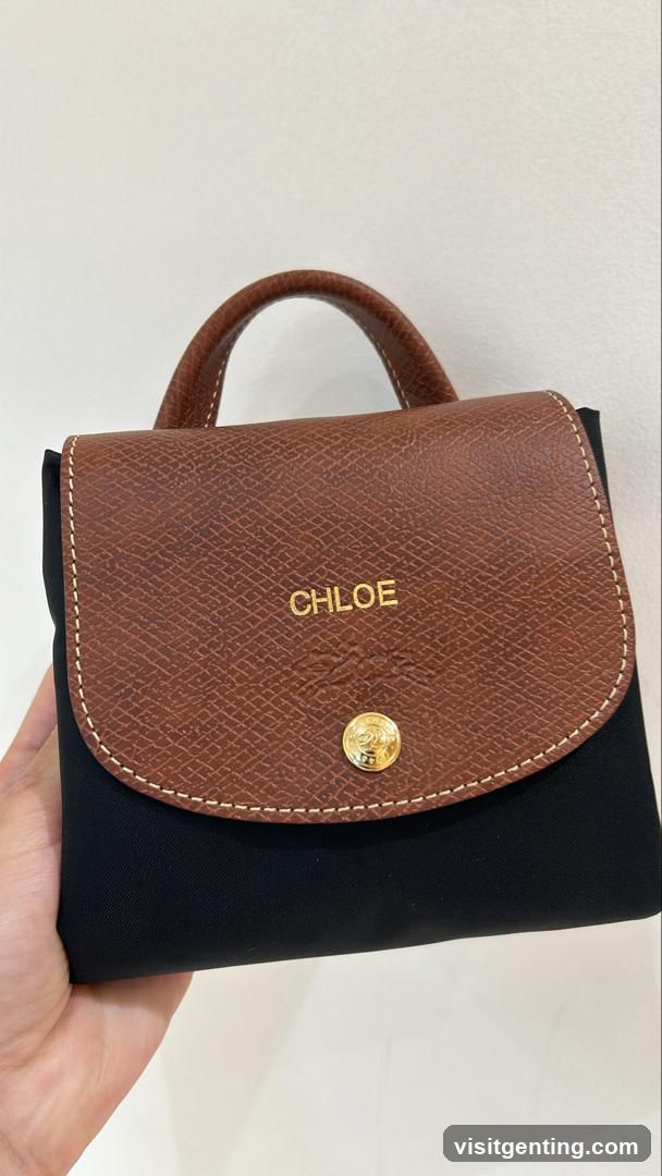 Chloe Handbag