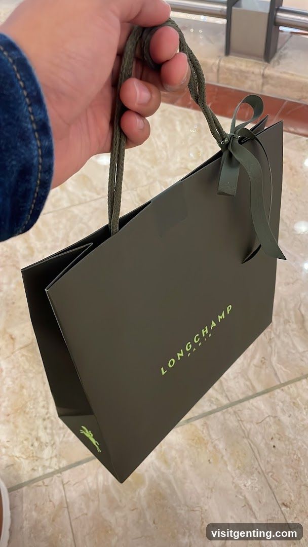 Longchamp shopping bag