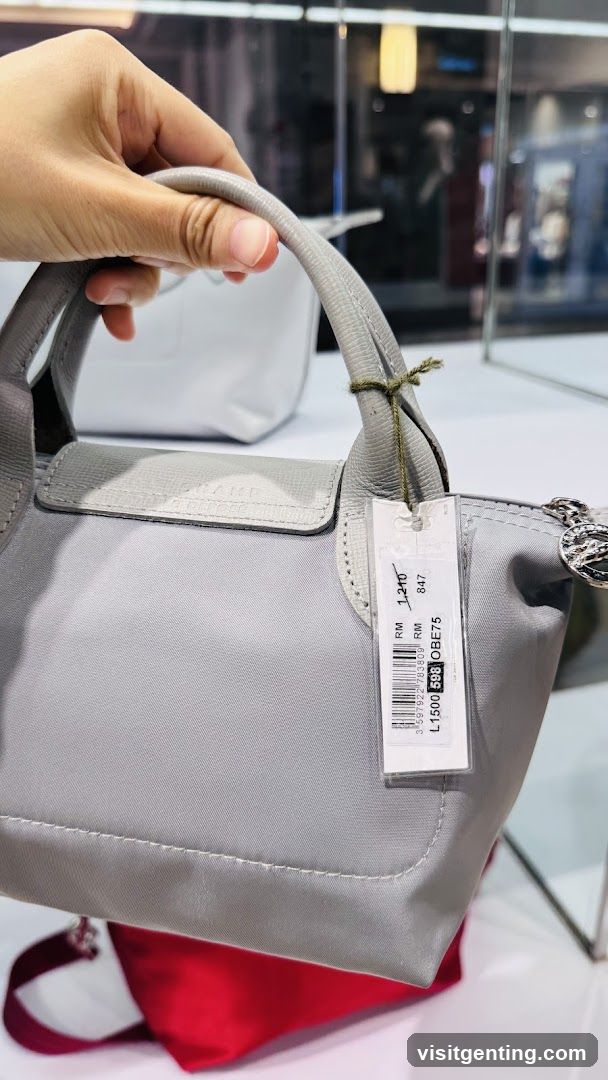 Hand holding a gray handbag