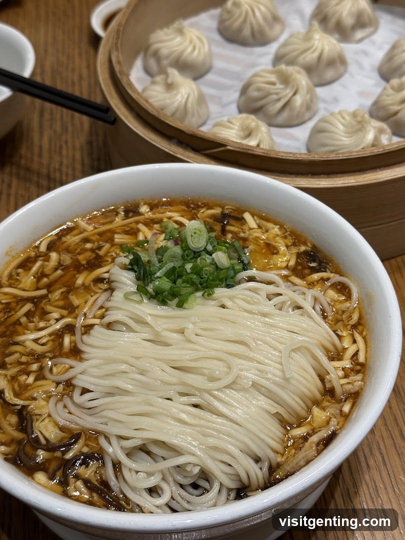 Dumplings and Noodle Bowl