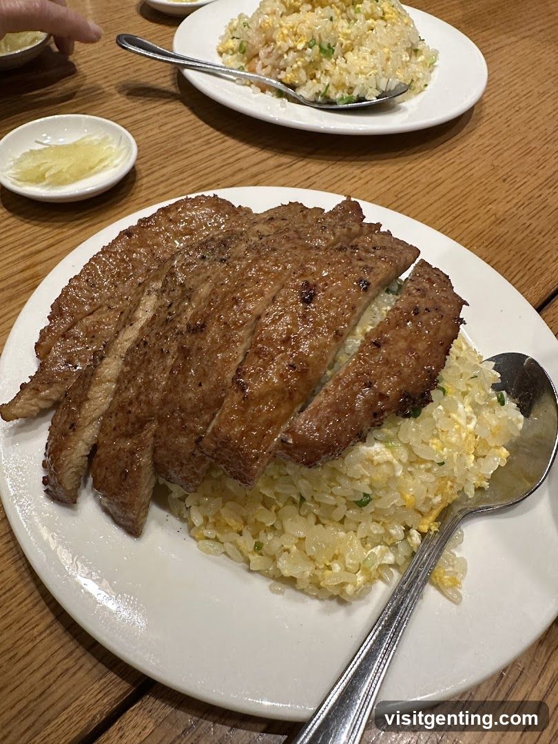 Dinner Plate with Fried Rice and Meat