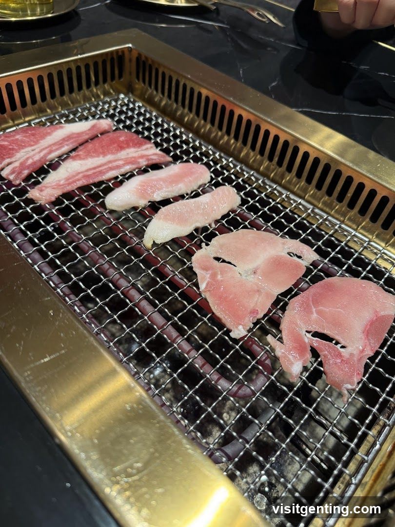 Grilled meat on barbecue grill