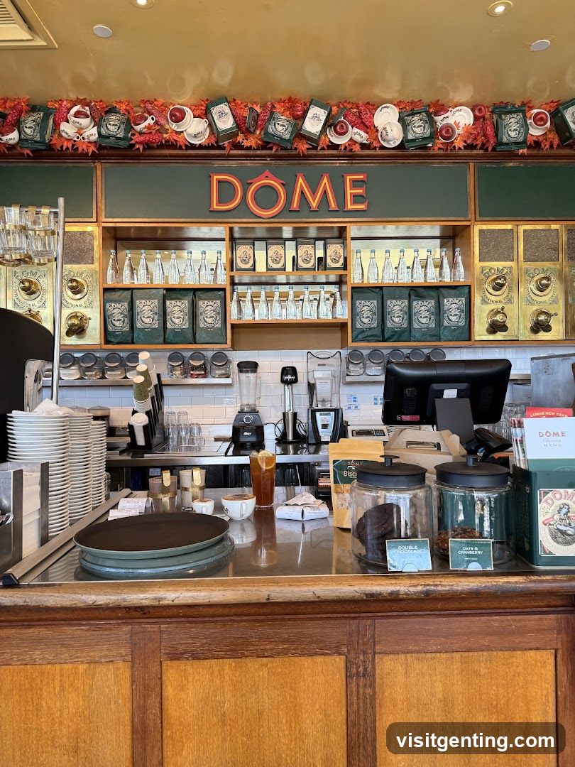 DOME Coffee Shop Interior