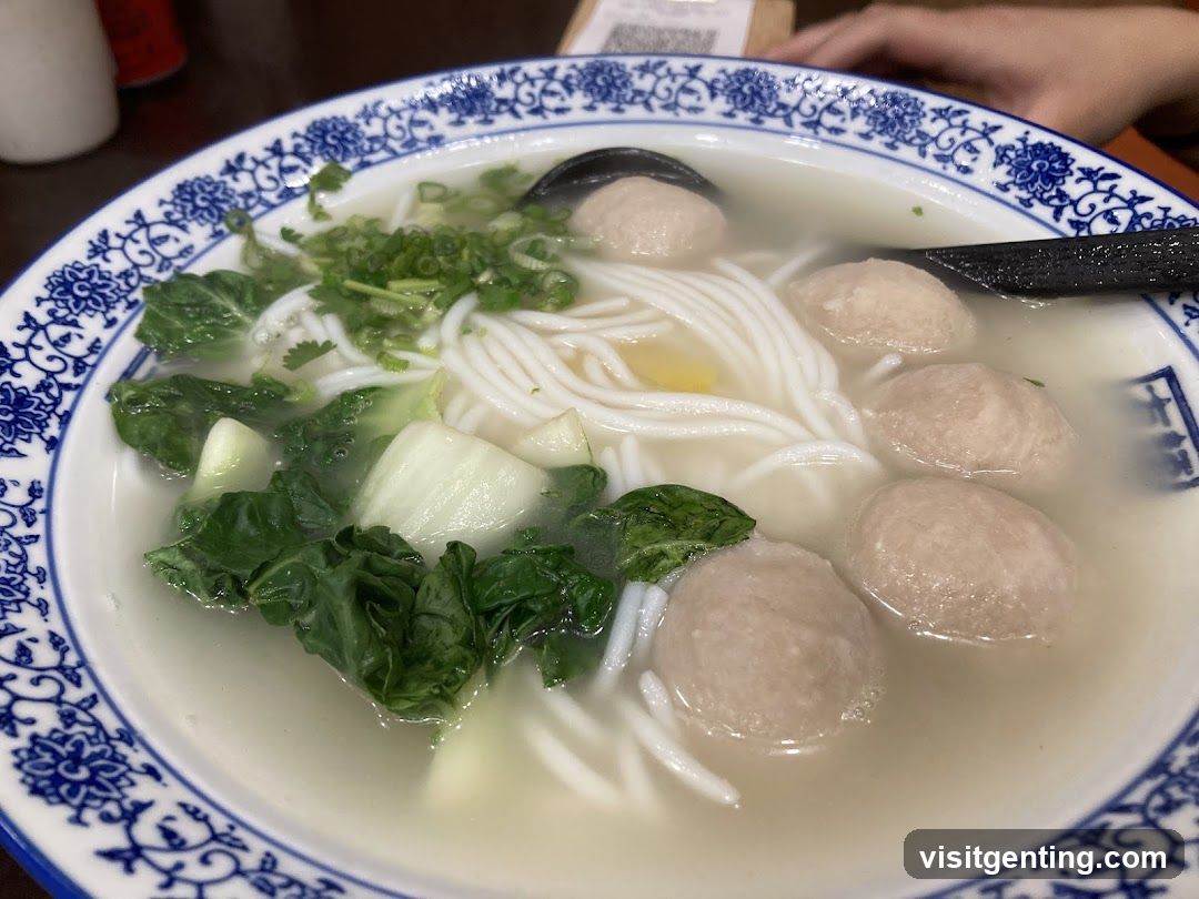Noodle Soup with Meatballs