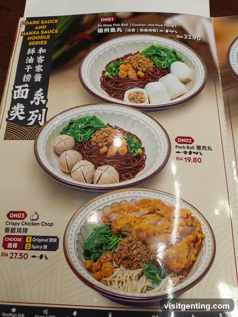 Dark Sauce and Hakka Sauce Noodle Series