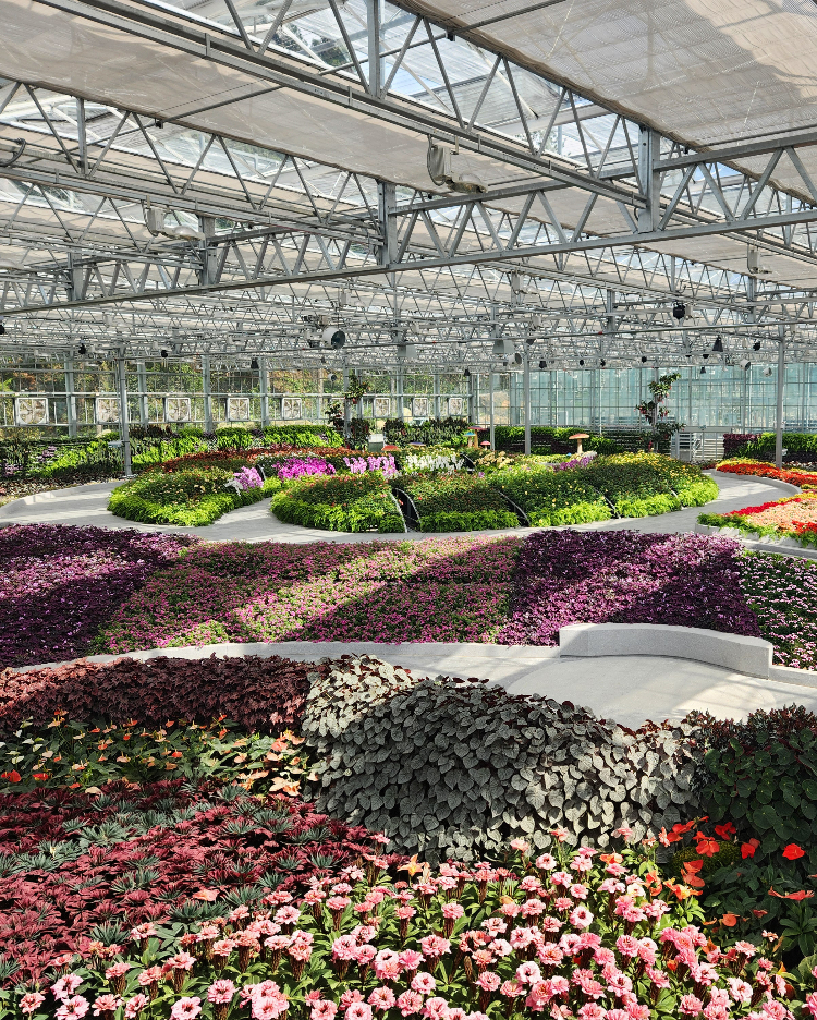 Interior of Eufloria Gardens floral glasshouse at Genting Highlands showing themed gardens