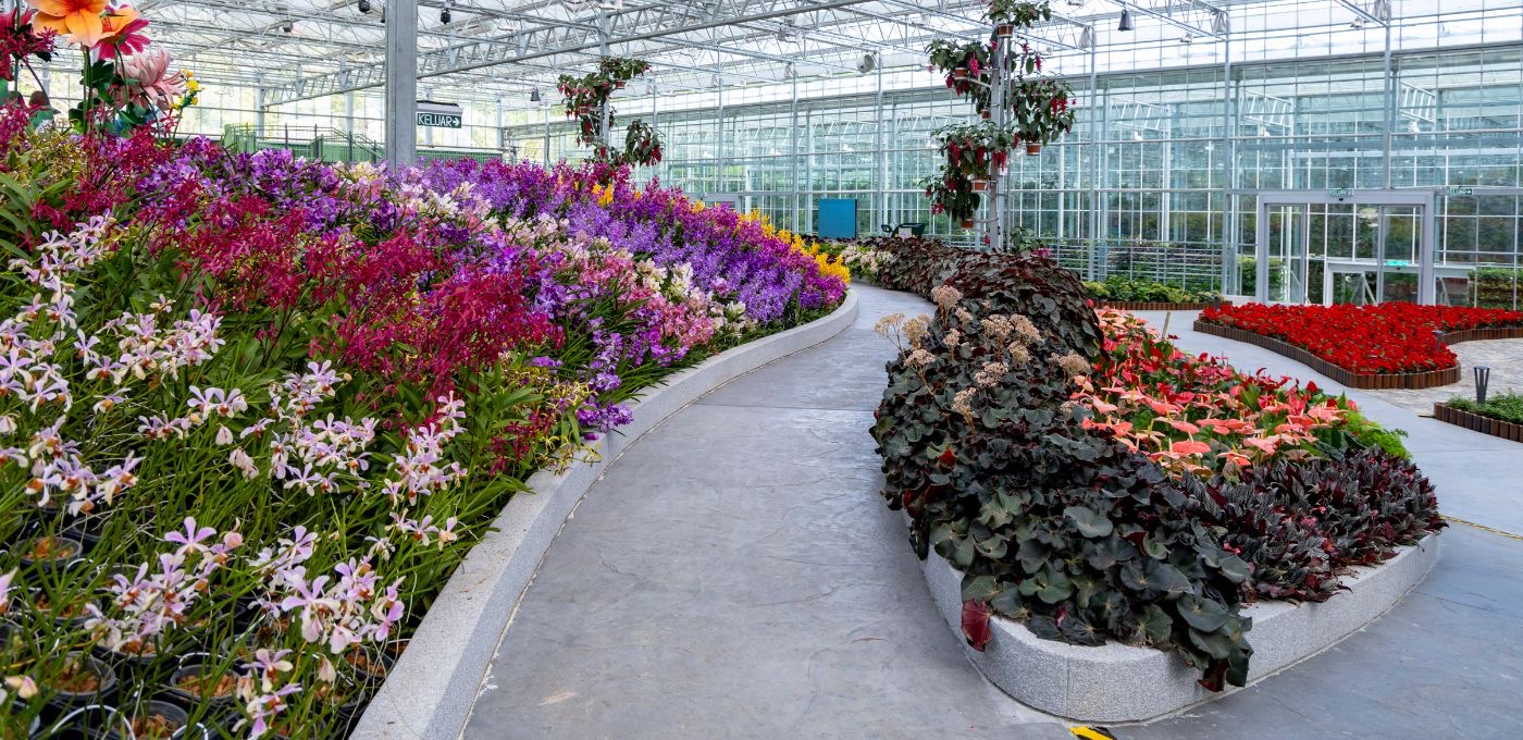 Eufloria glasshouse flower beds, Genting Highlands, along the Genting SkyWay lower station