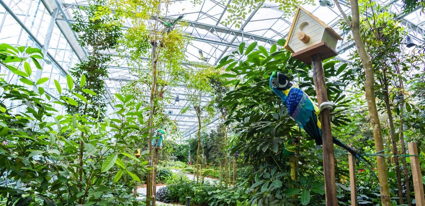 Inside the Eufloria glasshouse at Genting Highlands, trees and bird sculptures under the roof